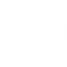 n1p logo