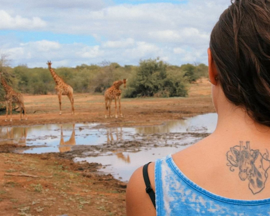 Africa, WildGuideVet, watching two giraffes