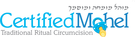 website logo