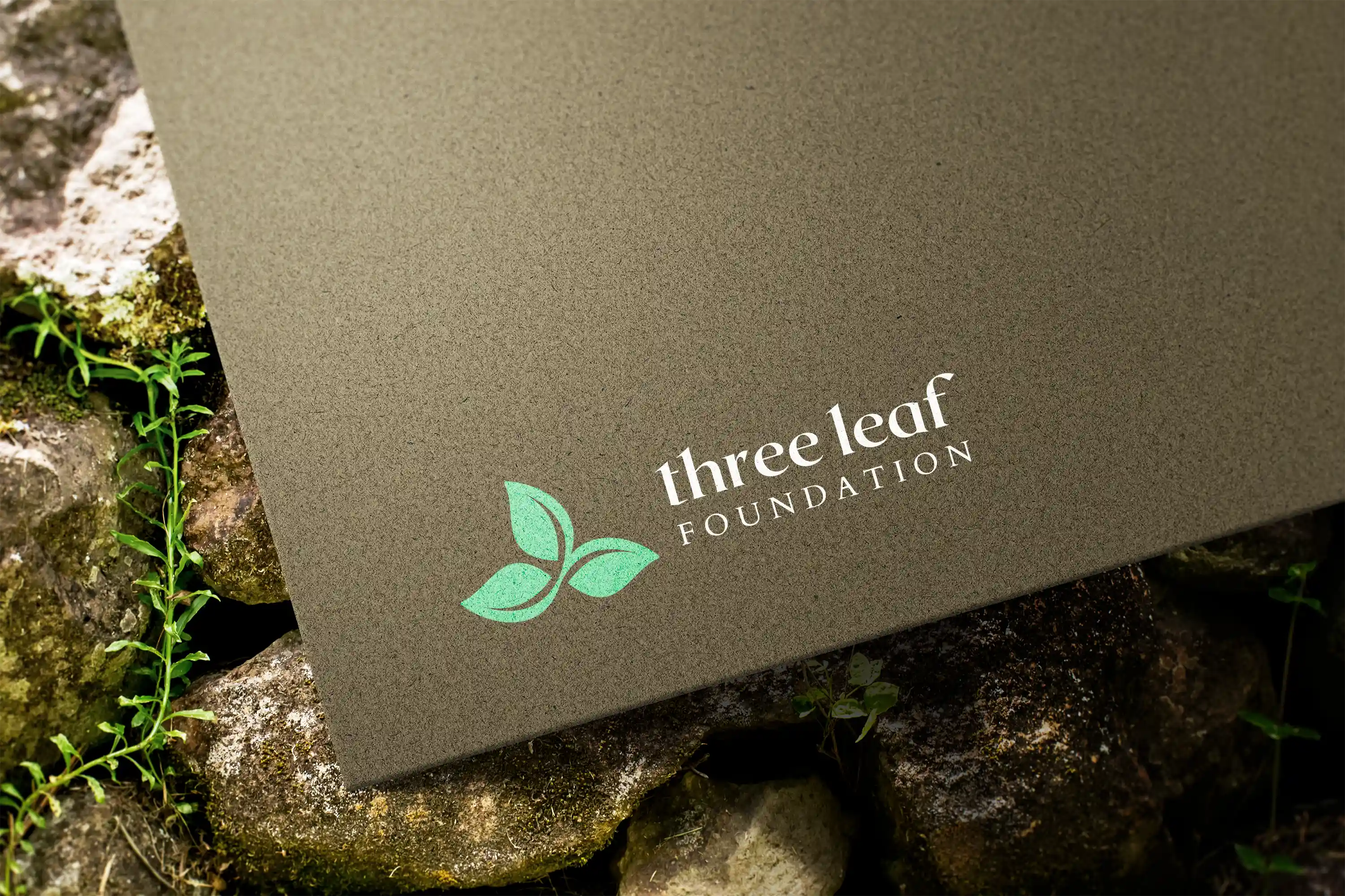 Branding card design for the three leaf foundation.