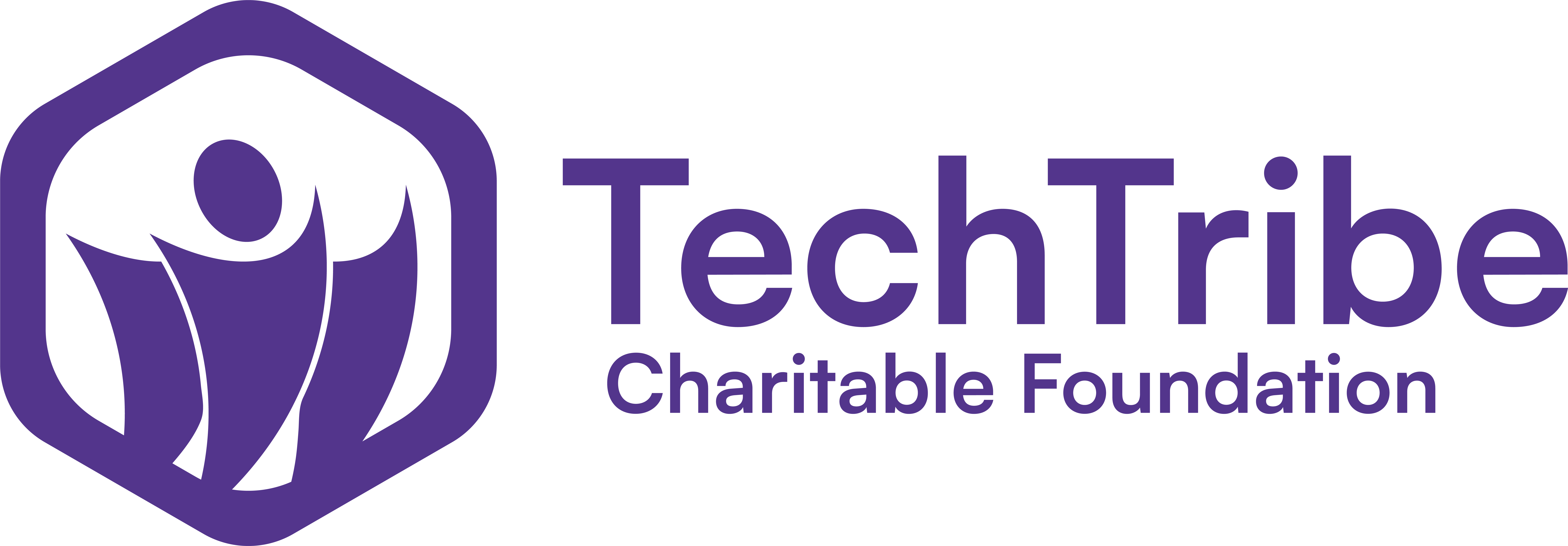 website logo