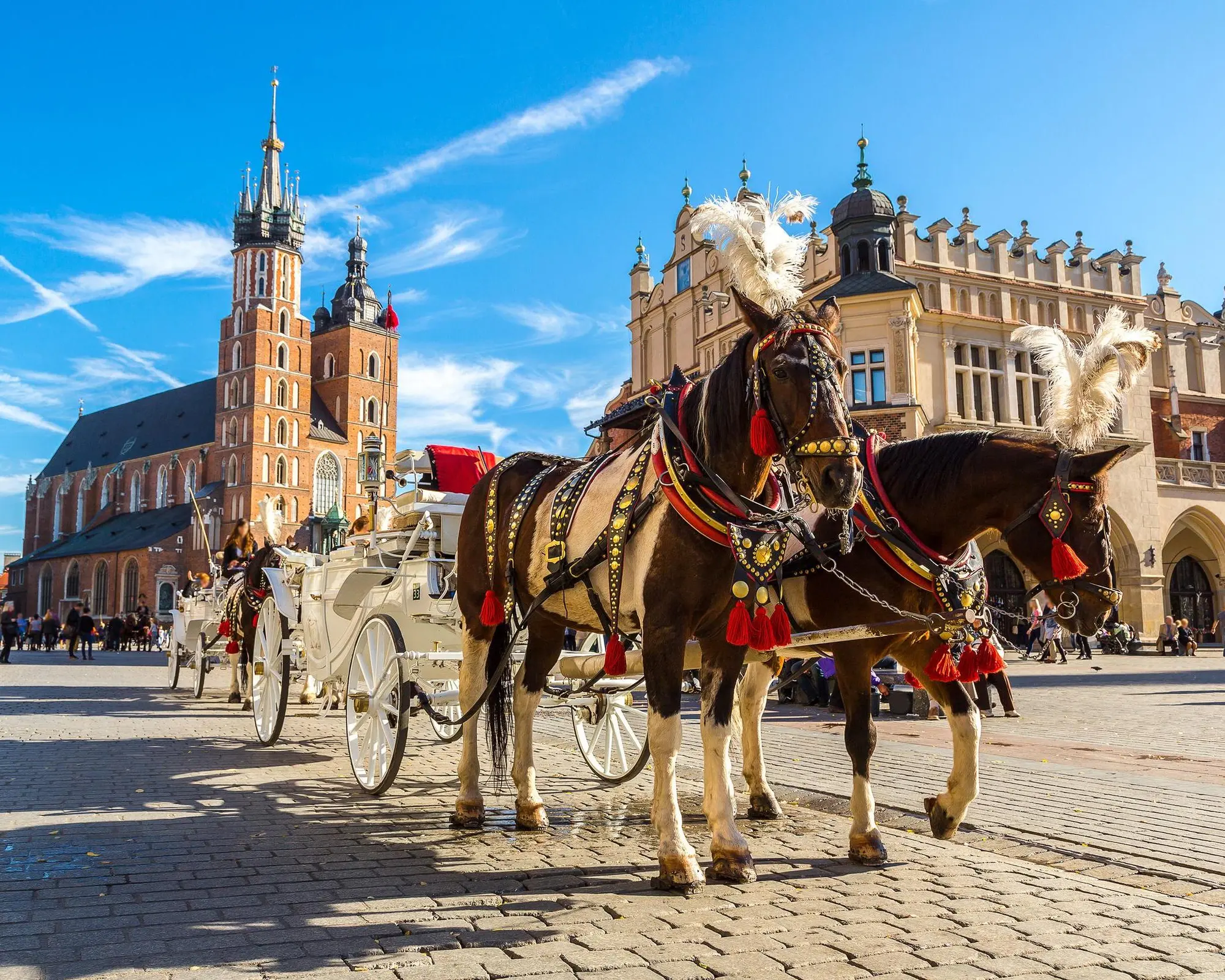 escorted tours poland from uk