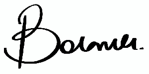 website logo