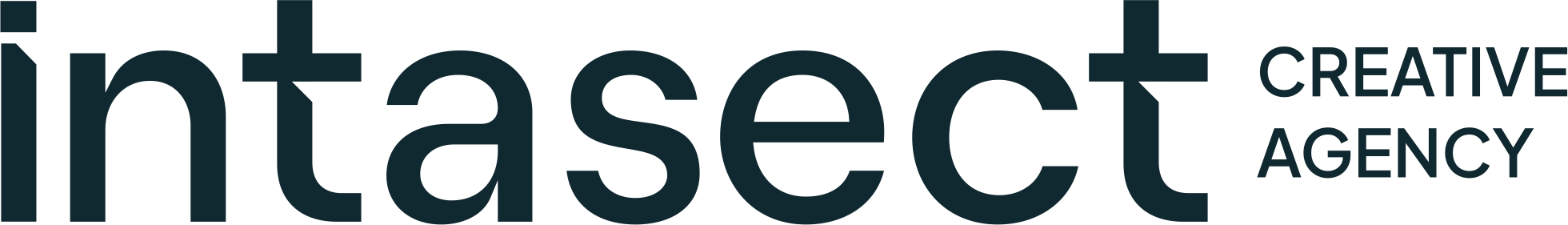 website logo