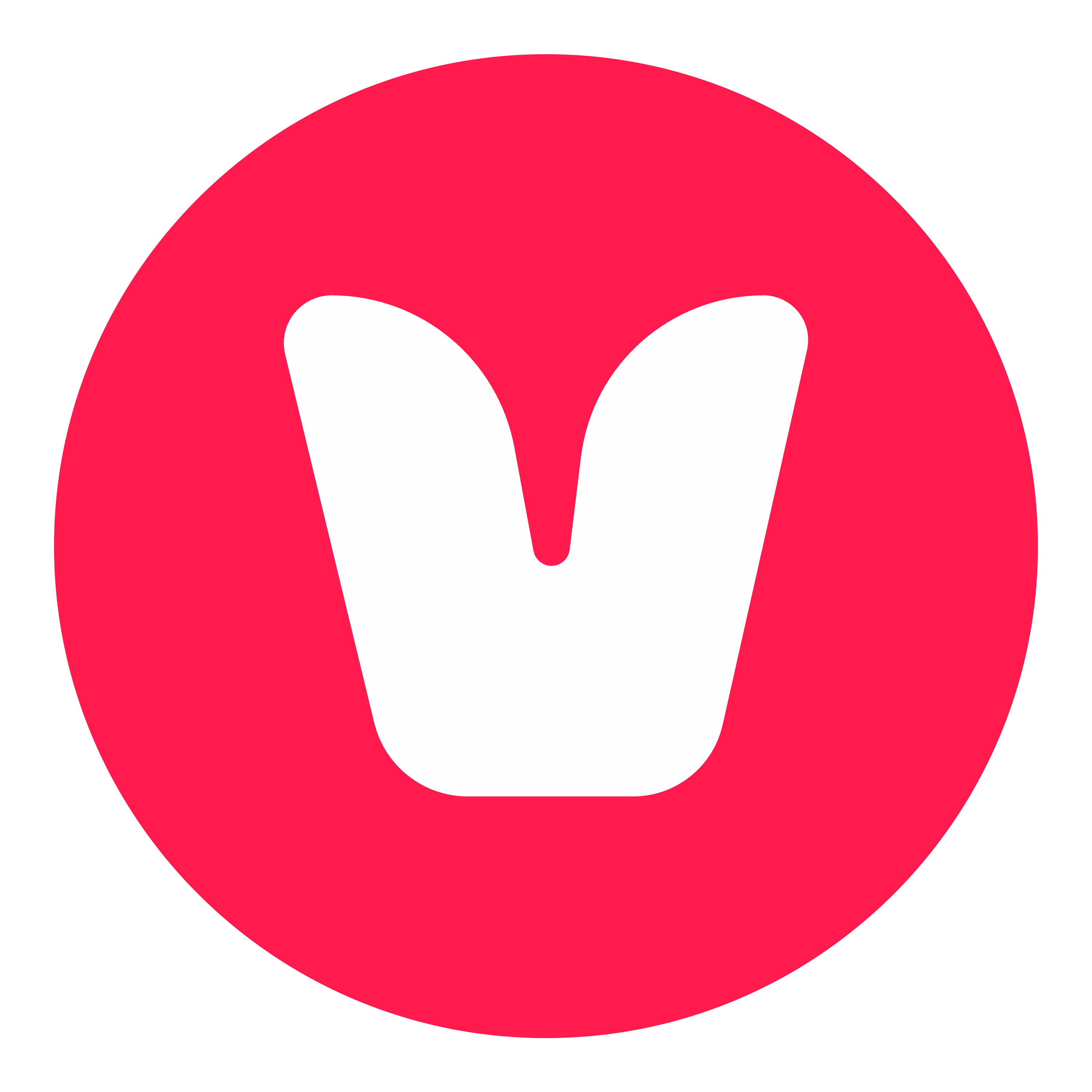 website logo