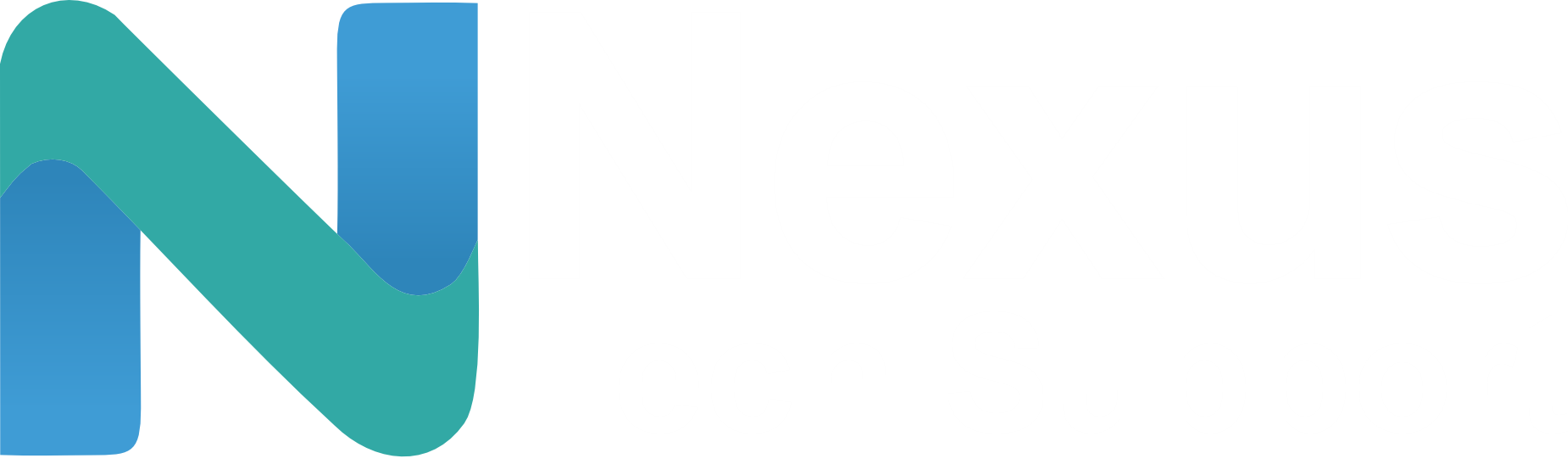 website logo