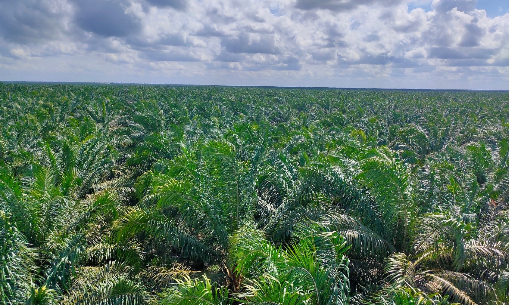 Download our one-paged land banking business plan for capital recovery.