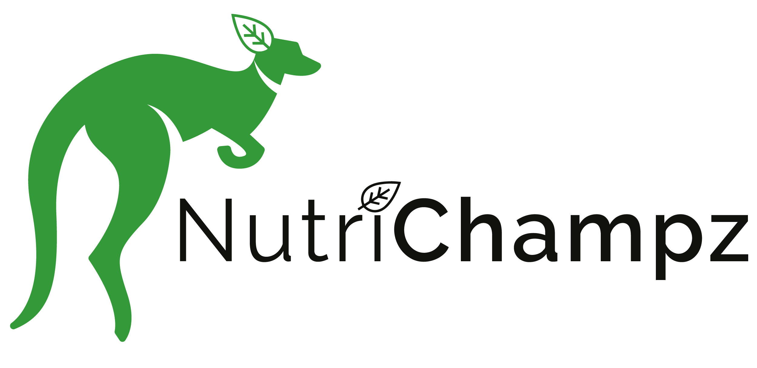 website logo