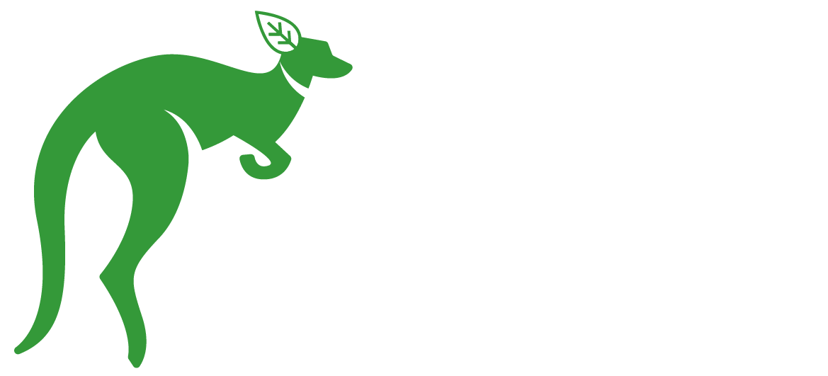 website logo
