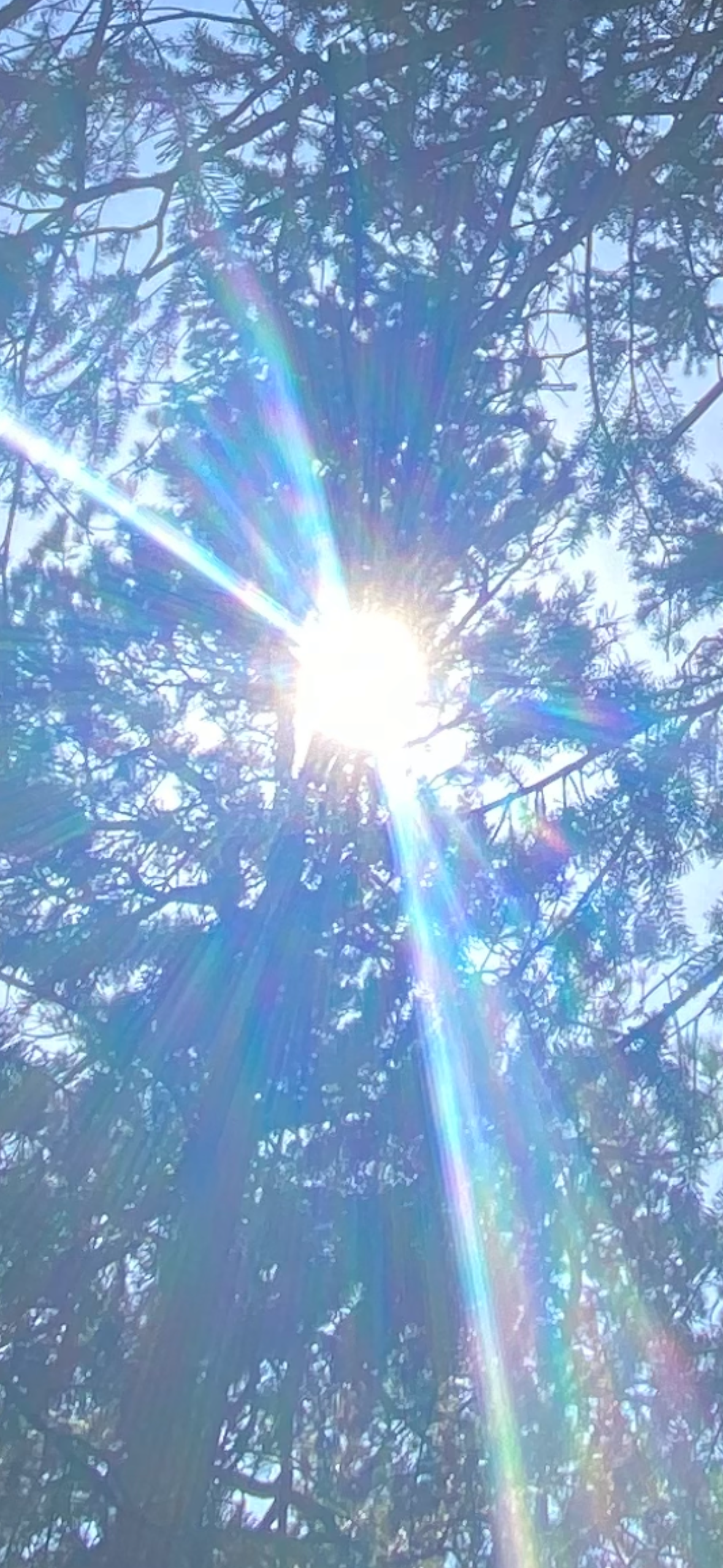 banner image