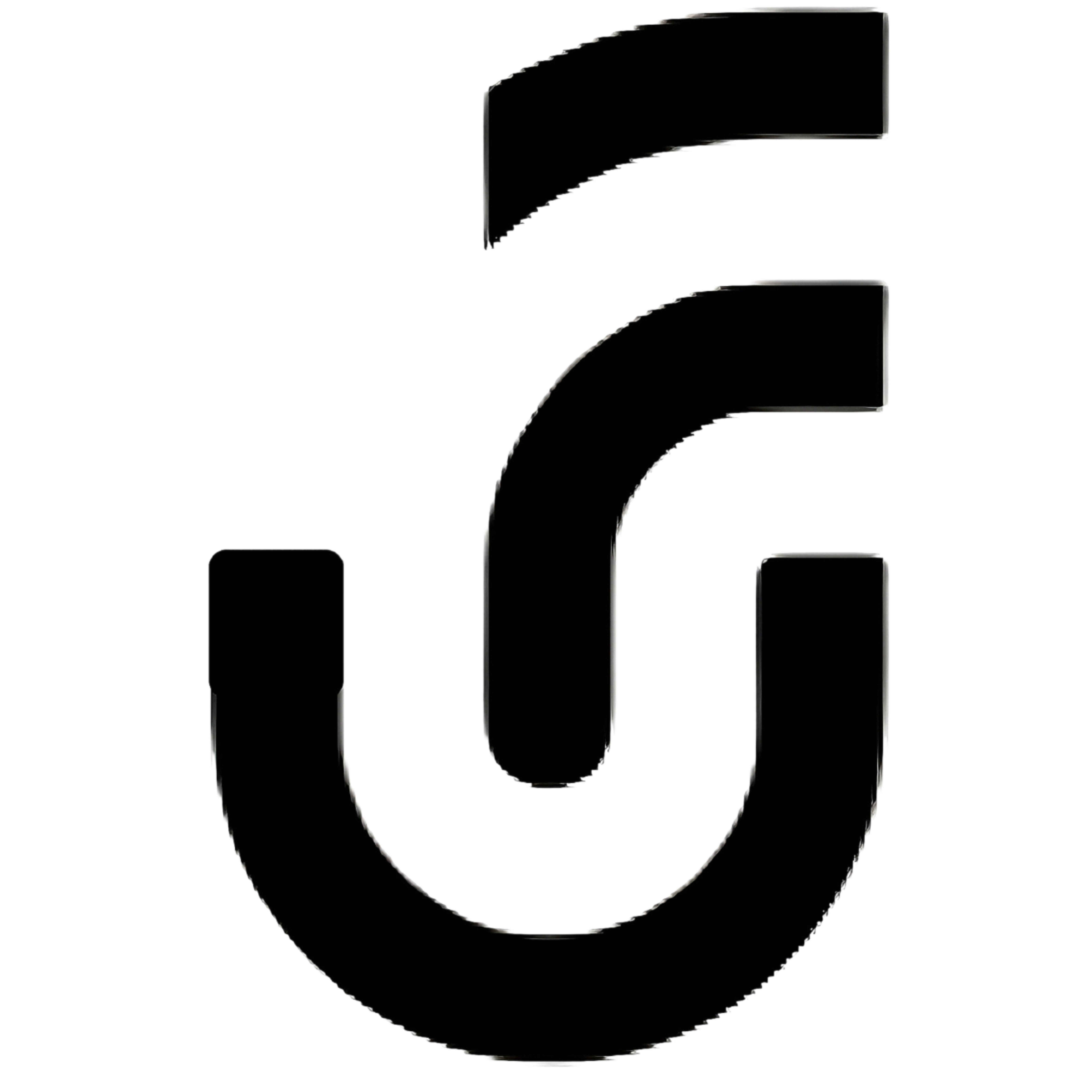 website logo
