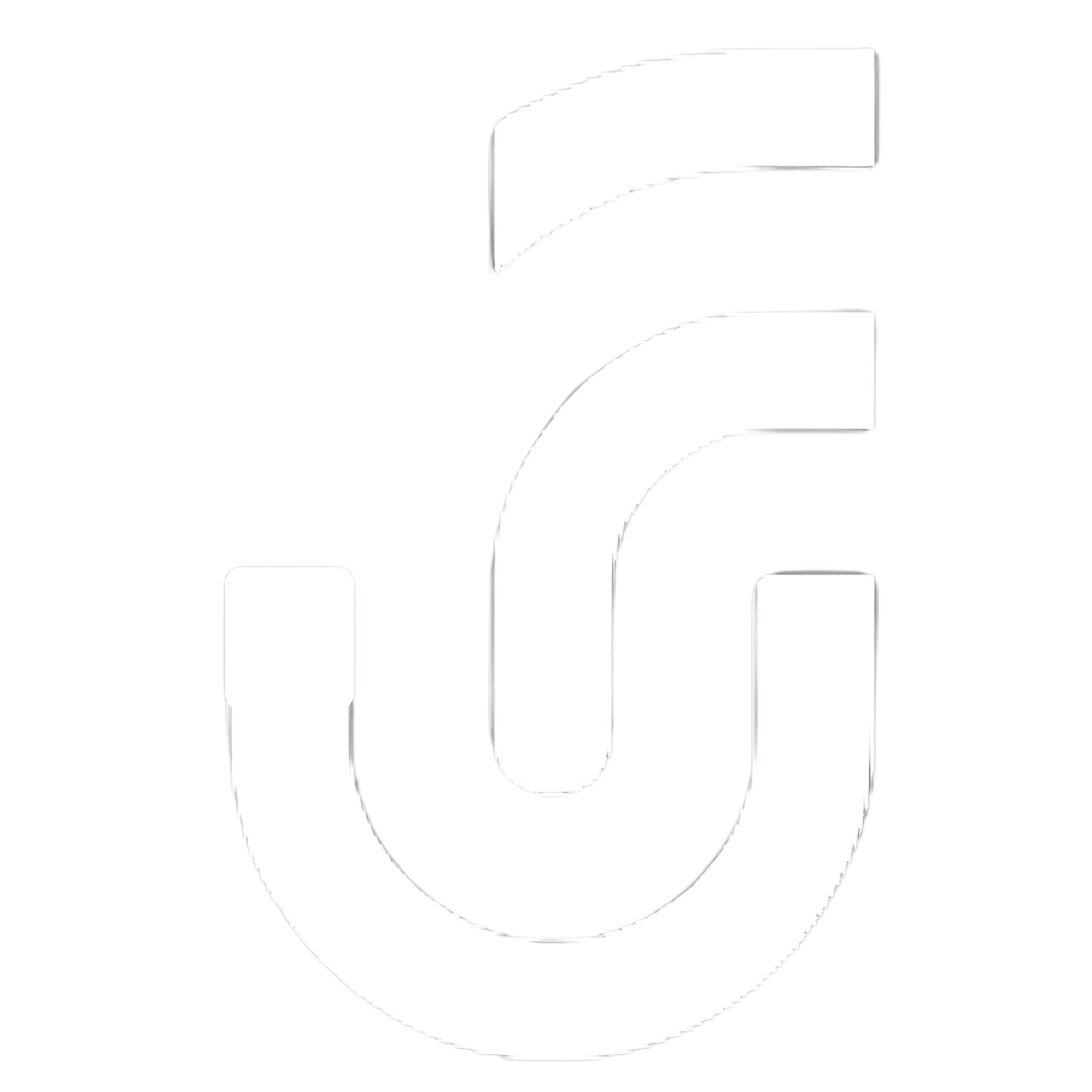 website logo