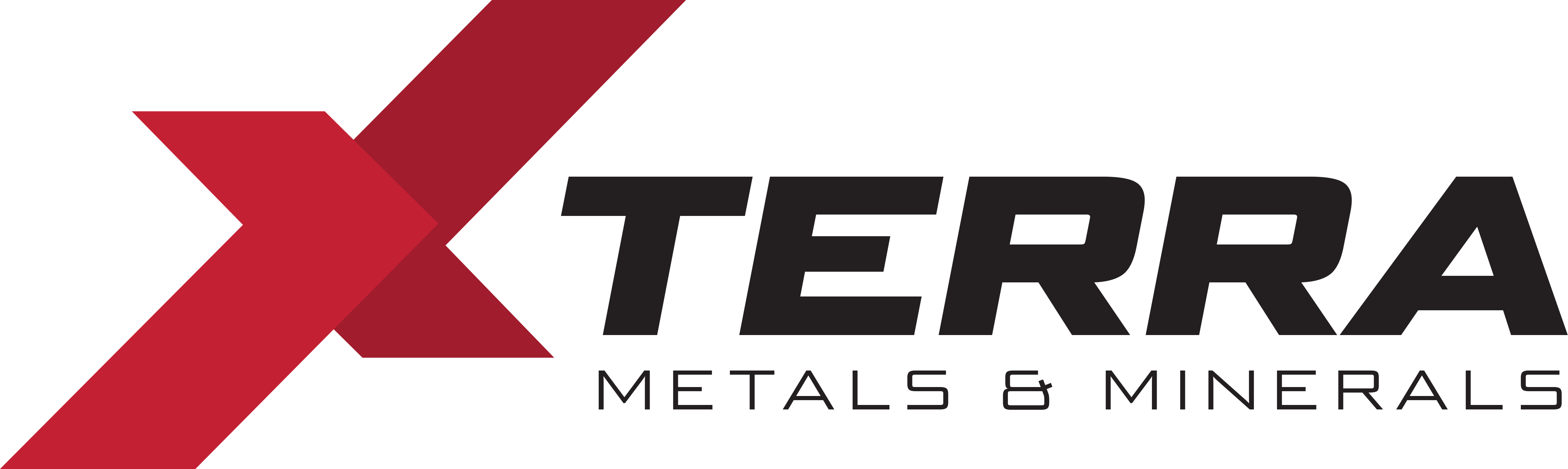 website logo