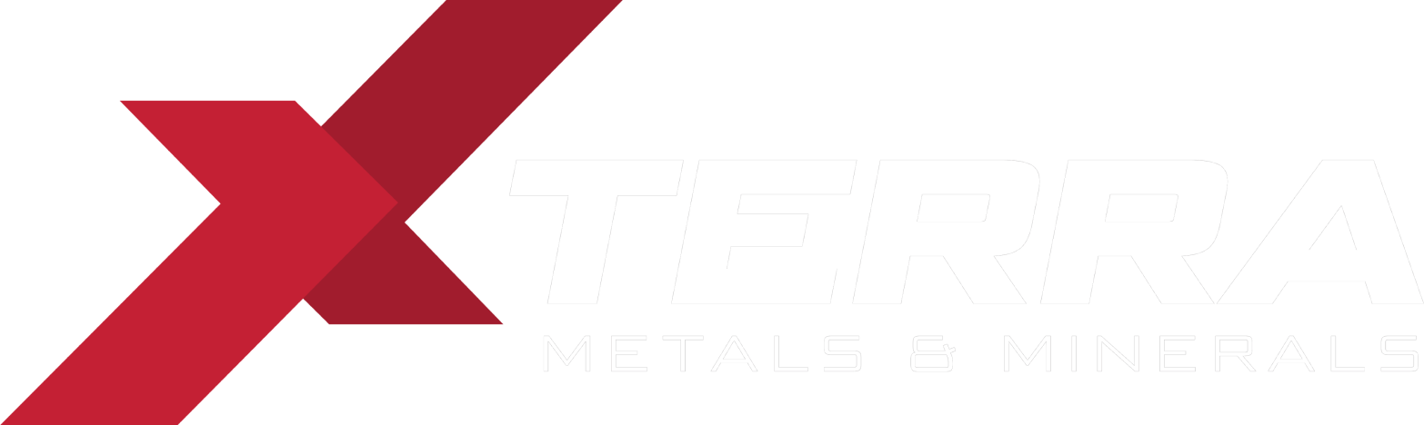 website logo