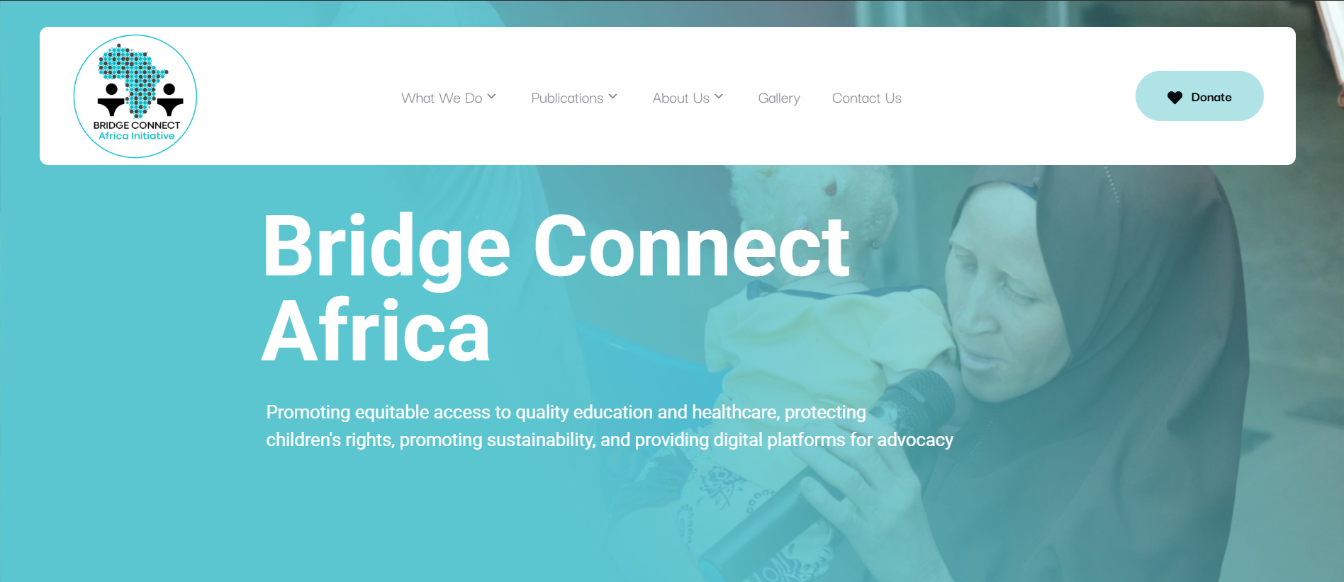 BCAI website