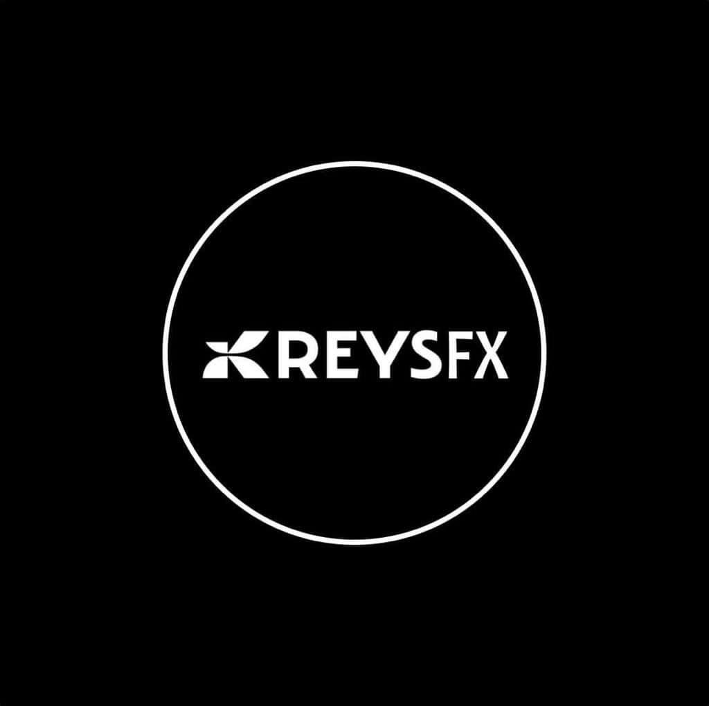 website logo