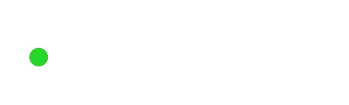 website logo
