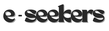 website logo