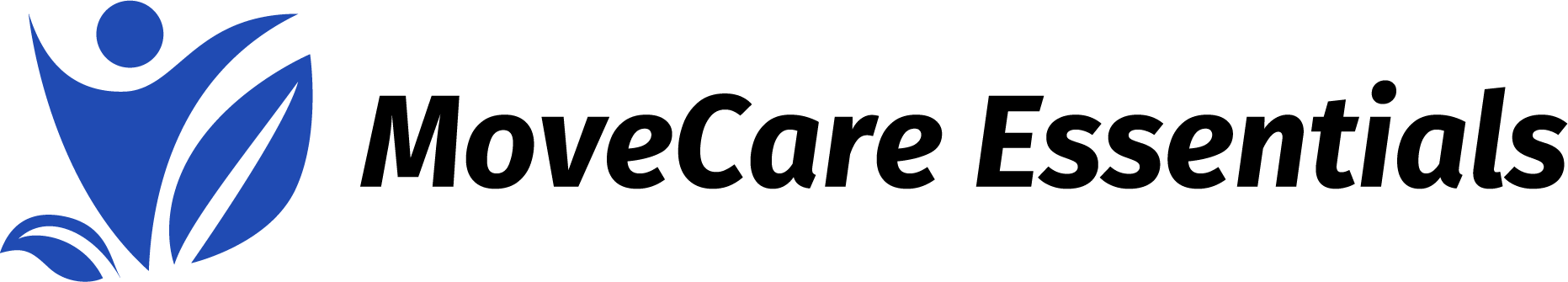 website logo