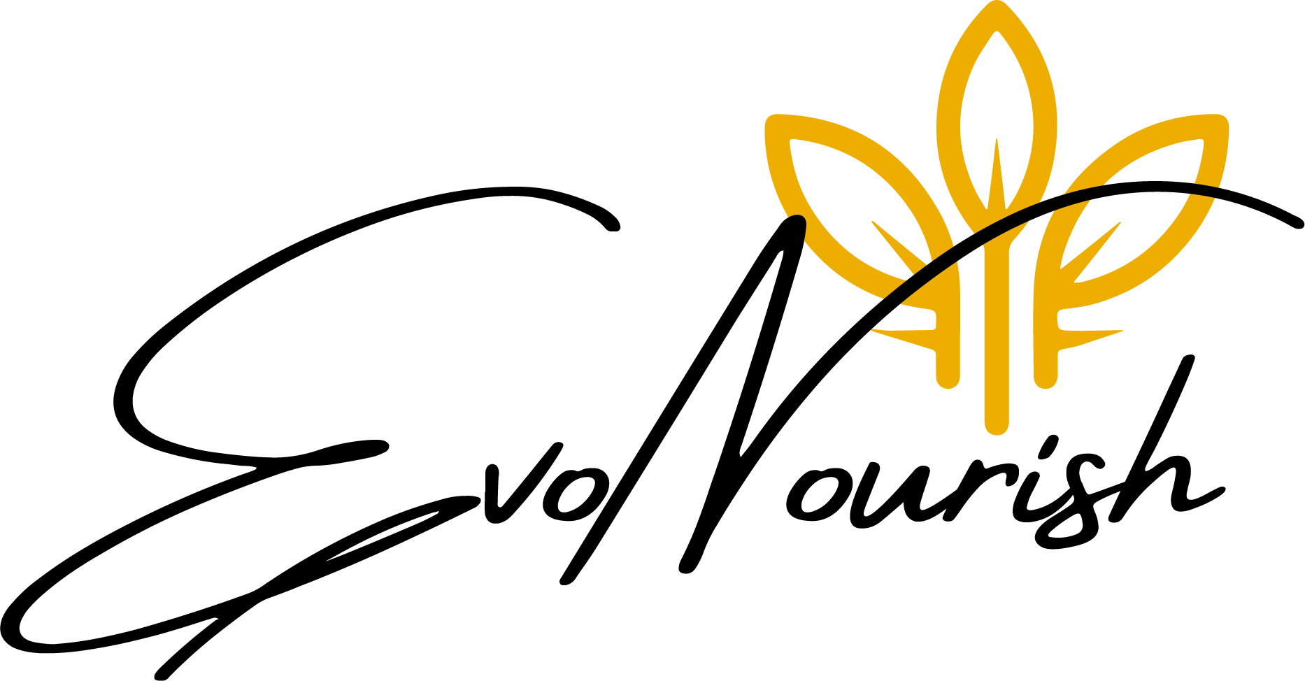 website logo