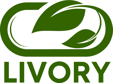 website logo