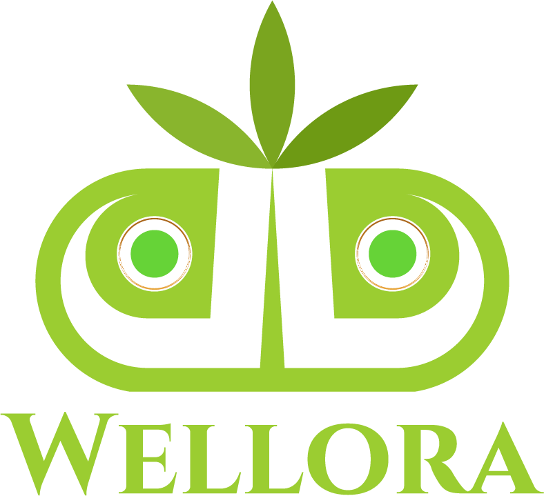 website logo