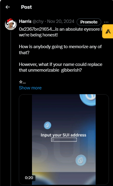 My written thread for SUI Name Service