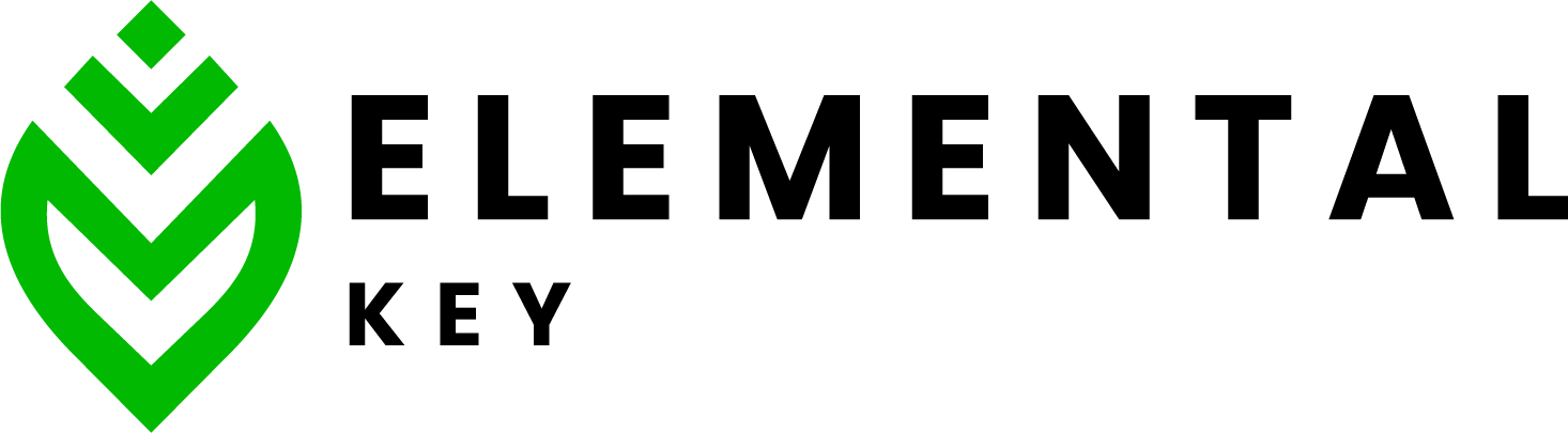 website logo