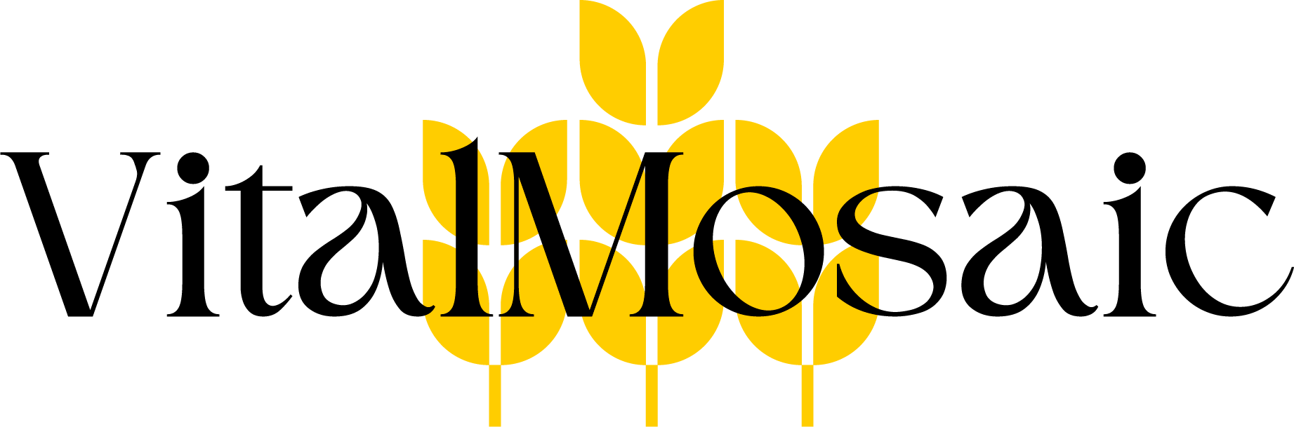 website logo
