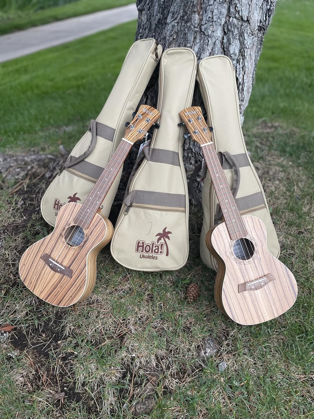 image of several ukeleles