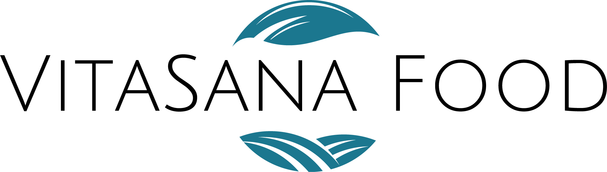 website logo