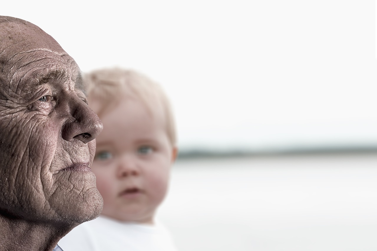 banner image