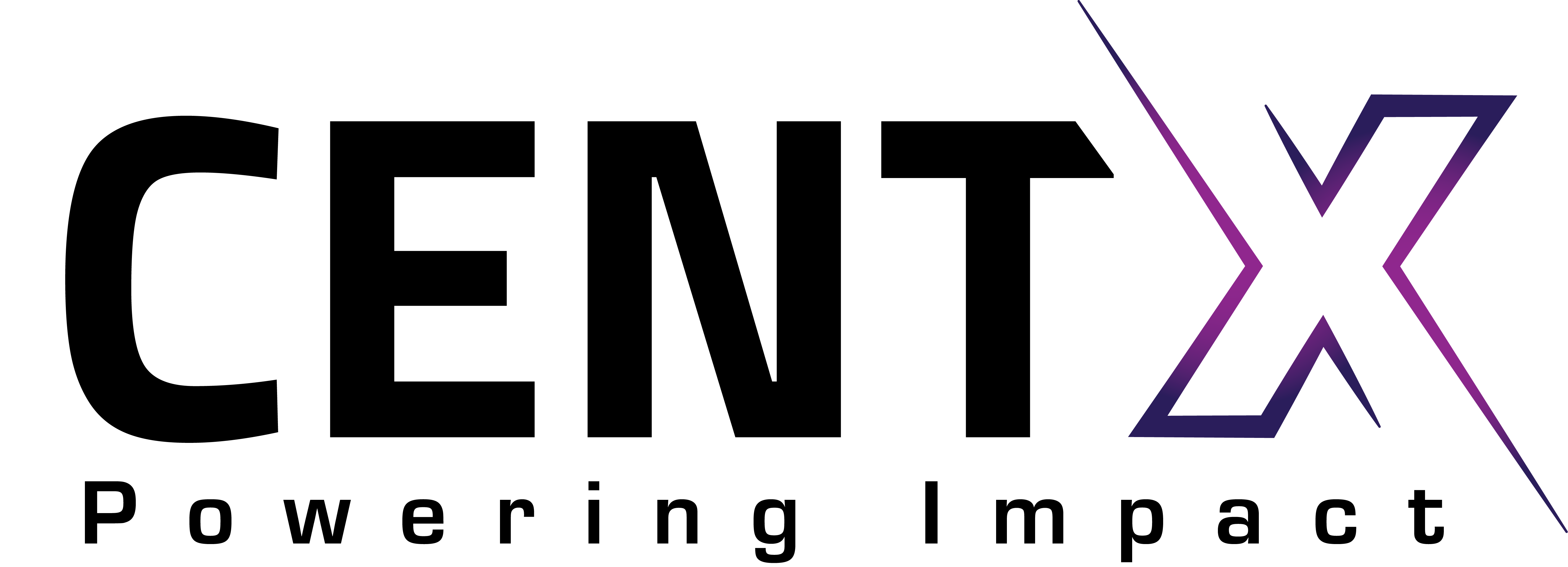 website logo