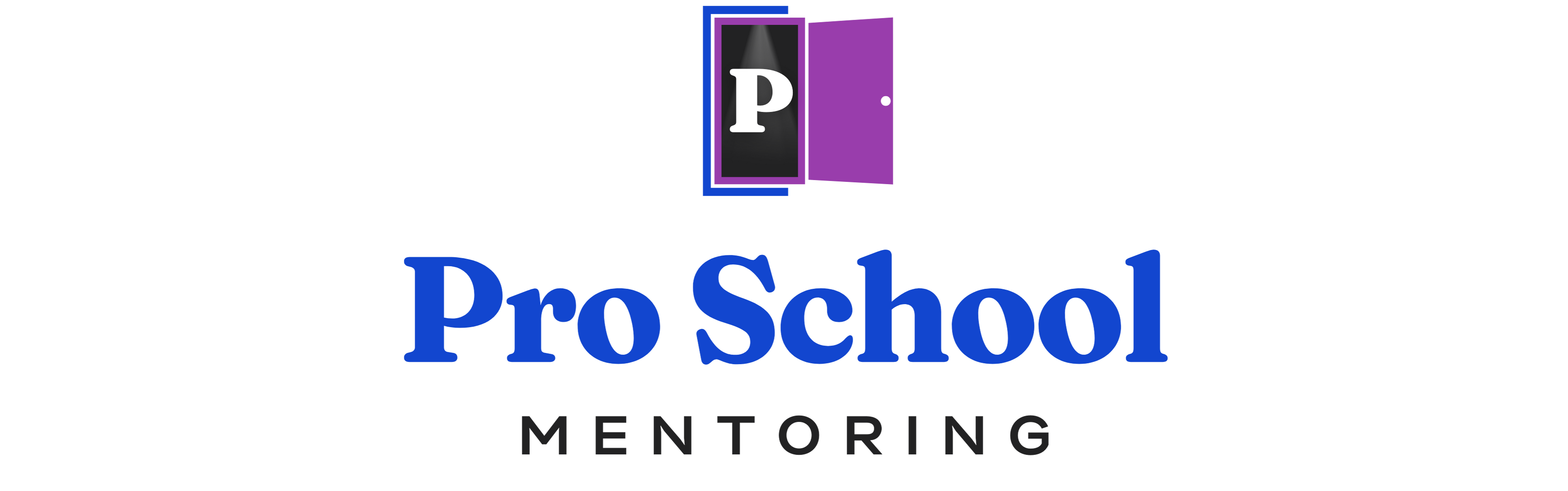 website logo