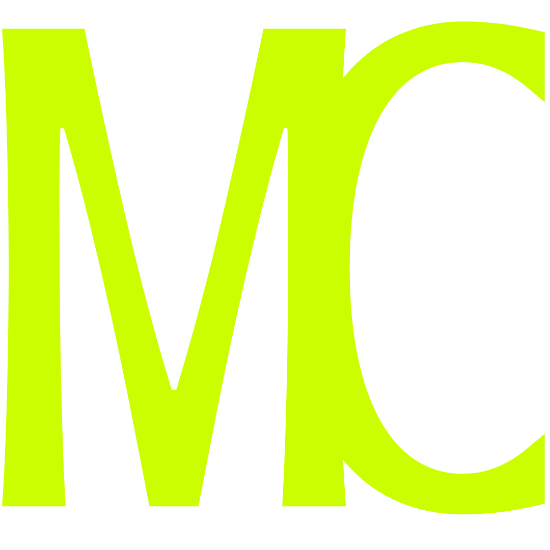 website logo