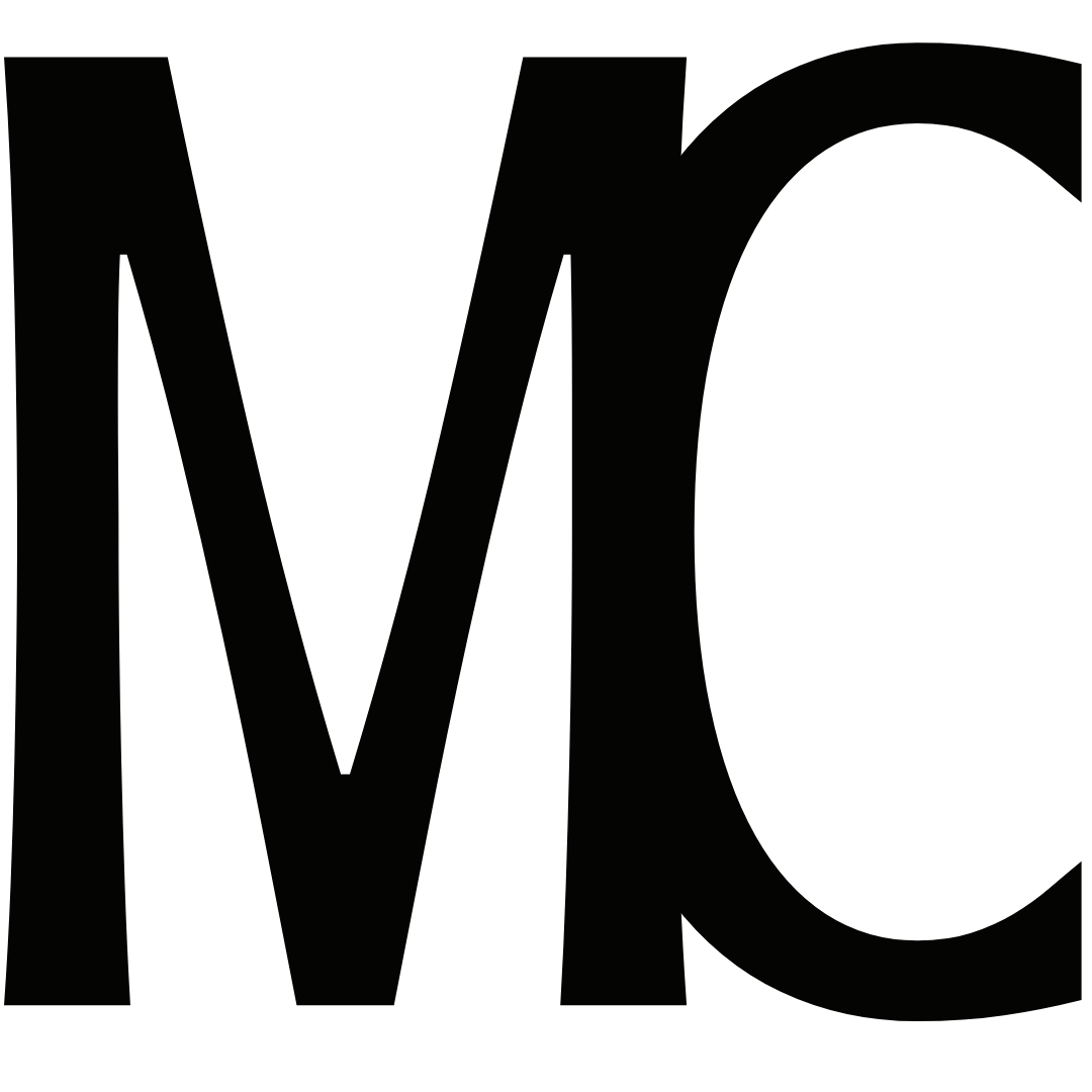 website logo