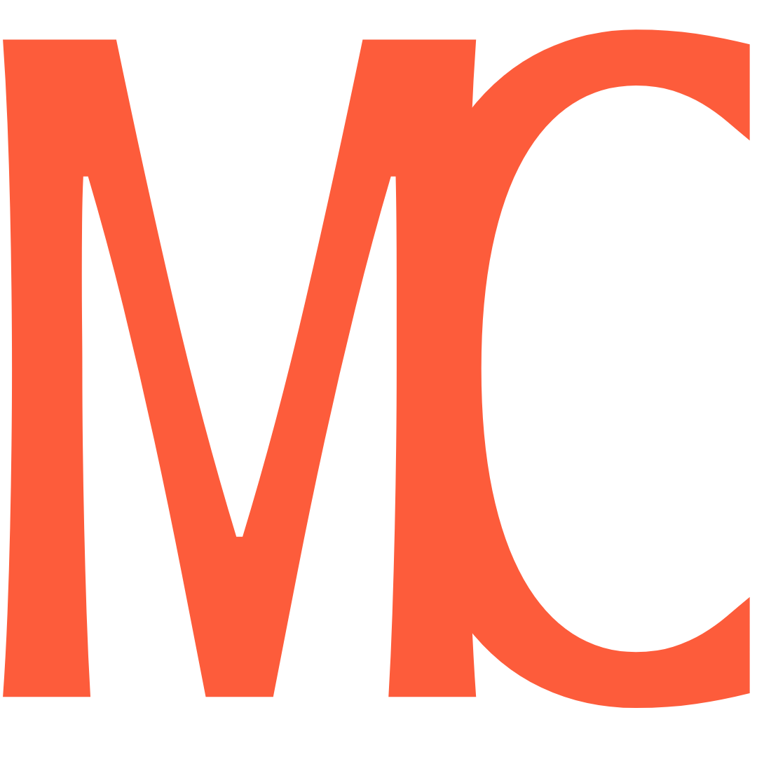 website logo
