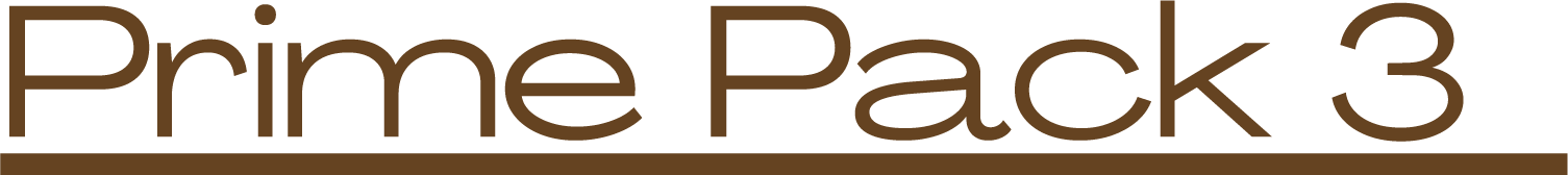 website logo