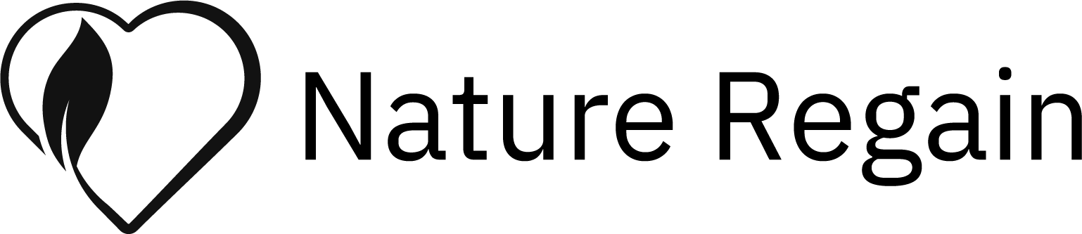 website logo