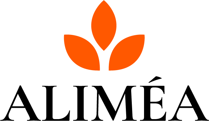 website logo