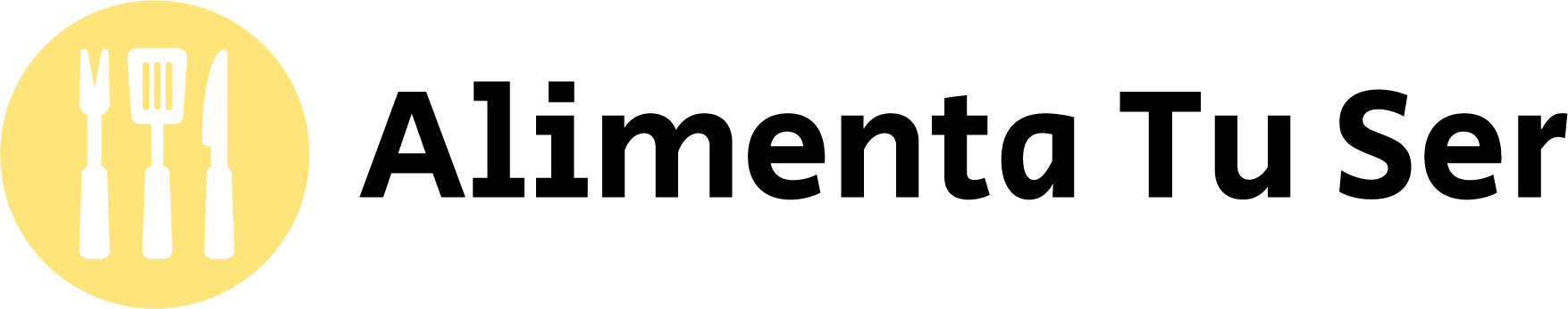 website logo
