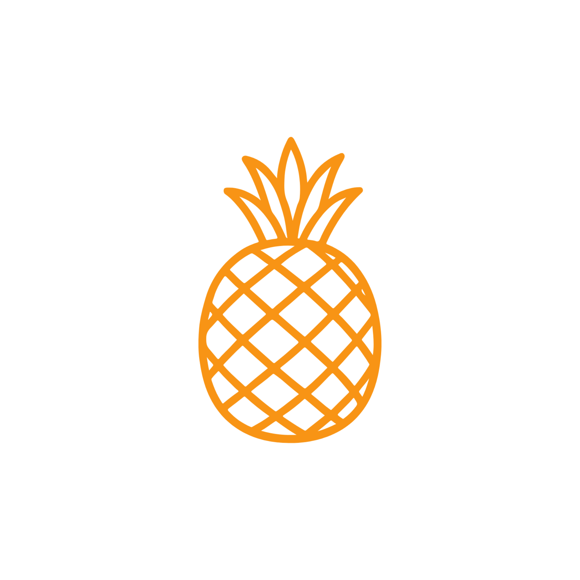 Illustration of an orange pineapple outline with a simple grid texture and leafy crown, set on a plain white background.