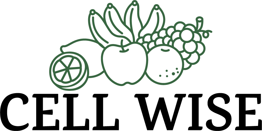website logo