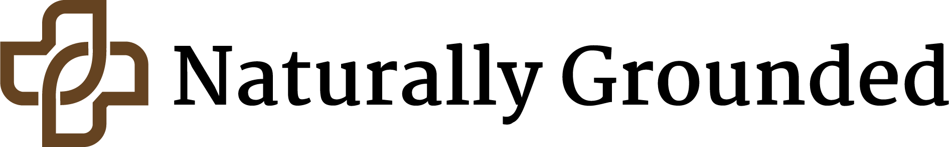 website logo