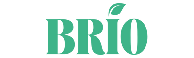 website logo