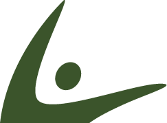 steadyvitalhub.info favicon