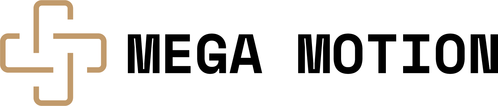 website logo