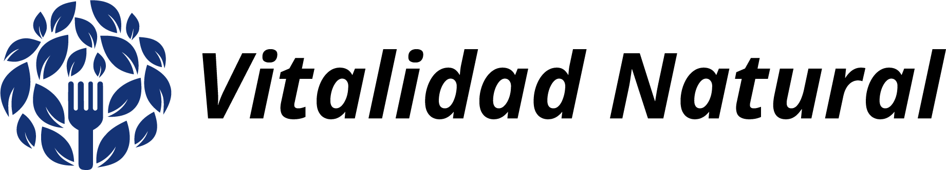 website logo