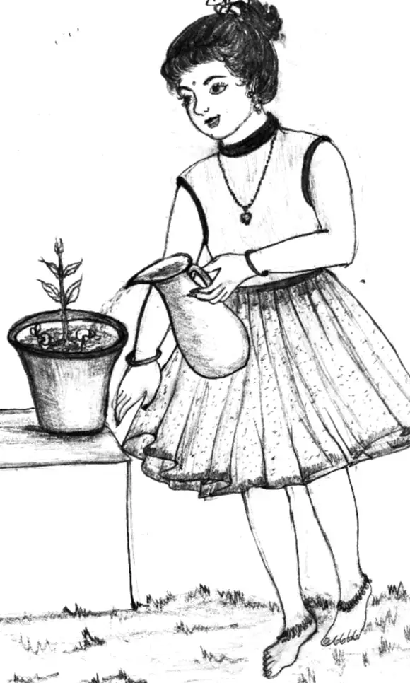 7. Seed Sowing