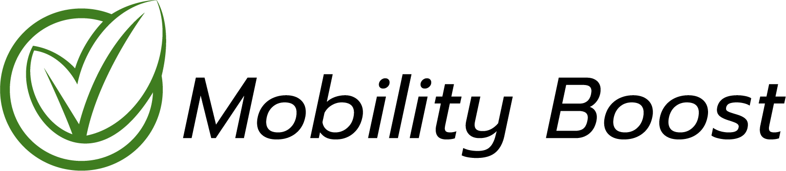 website logo